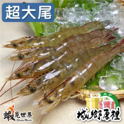超大尾-活凍生鮮白蝦-約12-14尾/300g