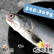 台灣野生午仔魚-340/369g